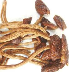 野生茶树菇 有机茶树菇批发 食用菌厂家 安徽特产