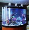 北京 天津 杭州 广州  福州 定做大型酒店海鲜鱼缸 大型观赏鱼缸