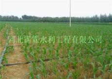 蔬菜滴灌常用微喷带价格 禹州市喷灌管厂家