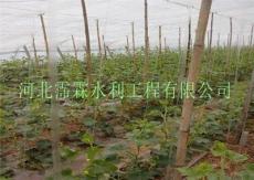 供陕西地区定做大棚滴灌带φ16*0.2*300