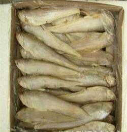 山东 黄河刀鱼 优质冷冻水产品