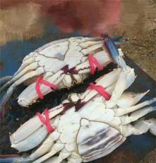 莱州海捕野生梭子蟹肉质饱满