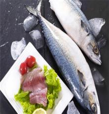 供应品质保证 价格优惠 鲅鱼