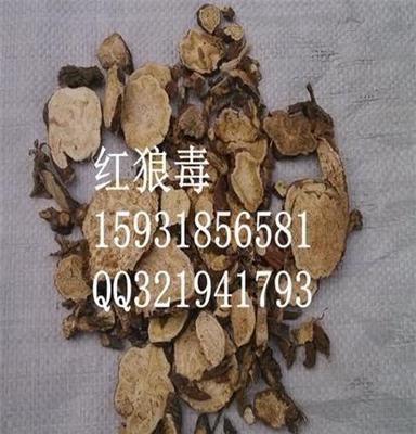 柴狼毒 瑞香狼毒  红狼毒 绵大戟等毒性中药材