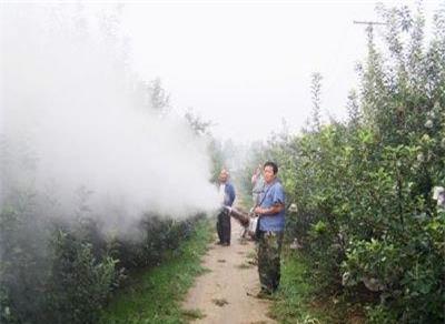 滨州弥雾机，小麦种植用弥雾机，脉冲式弥雾机价格