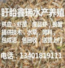 绥阳县　2017年小龙虾苗的价格先养殖后付款
