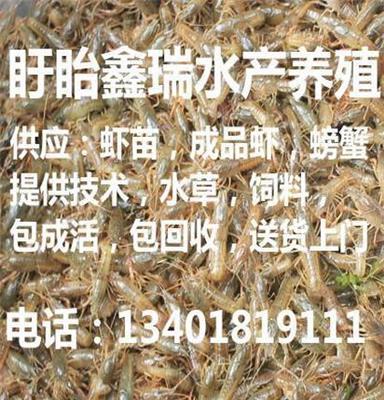 绥阳县　2017年小龙虾苗的价格先养殖后付款