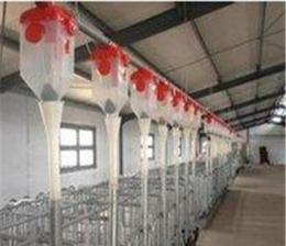 猪用供料系统批发-塑料地板批发-新乡市现代养猪设备厂