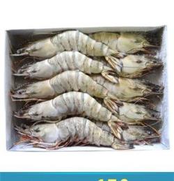 供应水产品冷冻竹节虾 海鲜水产竹节虾批发 海产虾类 肉质鲜美