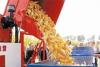 阿勒泰小型智能化玉米收割机.阿克苏最新款行小型玉米收割机-郑州市新的供应信息