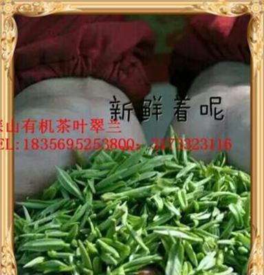 岳西翠兰价格便宜 茉莉茶叶