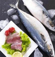 冻品批发 供应冷冻马鲛鱼约500克/条 刺少肉多 批发公司