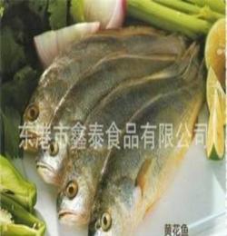 優(yōu)質(zhì)大黃花魚 海鮮產(chǎn)品水產(chǎn)品