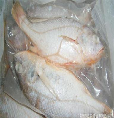 福建钦龙食品长期供应白口 各类海鲜批发、冰鲜（冷冻）鱼类