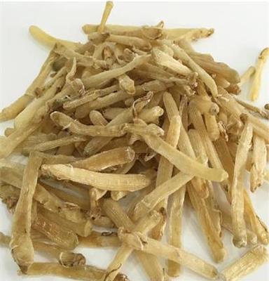 汕尾特产 沙虫 500g  调节免疫 延缓衰老 中通包邮