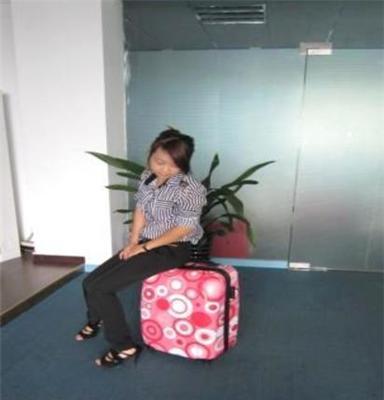北京箱包厂塑胶拉杆箱ABS飞机红旅行行李箱商务箱包