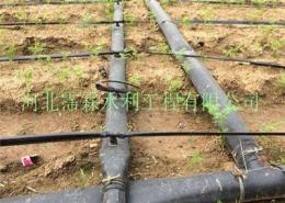水肥一体化设备 安阳市大田滴灌微灌带安装