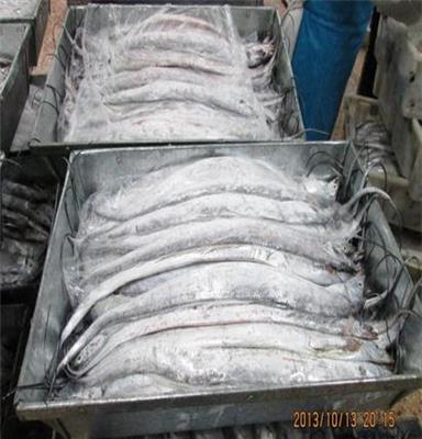 冷冻水产品 大量国产带鱼批发 25斤块冻 无冰衣更实惠 厂家直销