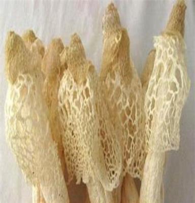 安徽野生猴头菇批发 大红菌（红菇） 竹荪菌等一斤也批发