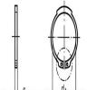 轴用挡圈 External retaining rings