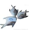 海鲜水产批发 进口大鲳鱼 各种冷冻鱼类 常年批发 图