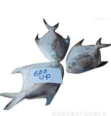 海鲜水产批发 进口大鲳鱼 各种冷冻鱼类 常年批发 图