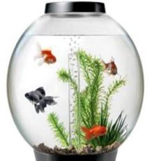创意亚克力鱼缸 有机玻璃鱼缸 环保耐用鱼缸