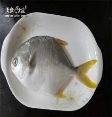 肉质细嫩的金鲳鱼 小吃特产 水产品 量大从优 特价批发
