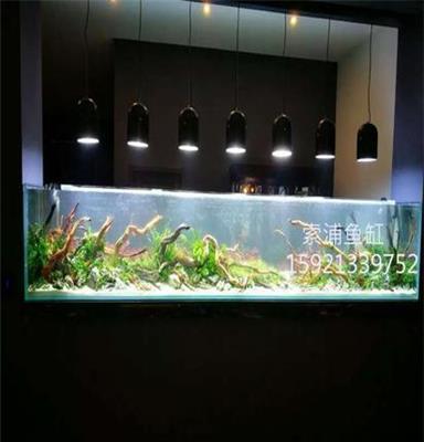 索浦鱼缸工程 南通餐馆水草布景鱼缸 生态景观水族箱