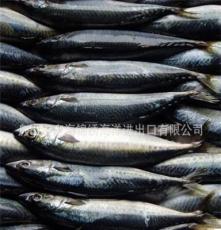 冷冻青占鱼 水产冷冻鱼 出口品质冷冻水产品