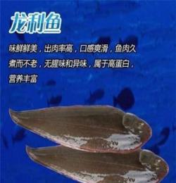 批發 龍利魚 大型廠家訂購冷凍粗加工水產品