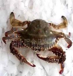 （梭子蟹批发螃蟹）冻梭子蟹 冷冻海鲜 海鲜水产品（公蟹）