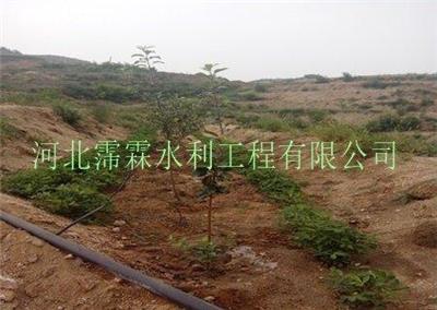 供应湖北荆州市果树灌溉专业小管出流毛管设备