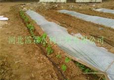 果树滴灌-湖南省专业的小管出流系统