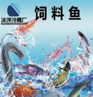 冰洋冷藏厂 饲料鱼系列 貂食 狐狸食 蟹食 大闸蟹食 养殖鱼食