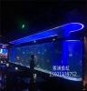 索浦鱼缸 承接广州酒吧大型亚克力鲨鱼水族箱工程