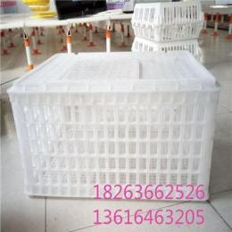 塑料运输筐35高方形筐方形鹅运输筐图片塑料鸡笼厂家