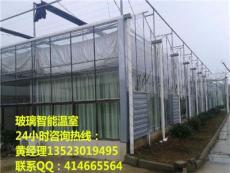 河南文洛式玻璃温室建造公司