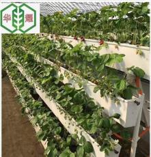 立体种植优质草莓种植槽推荐华耀农业