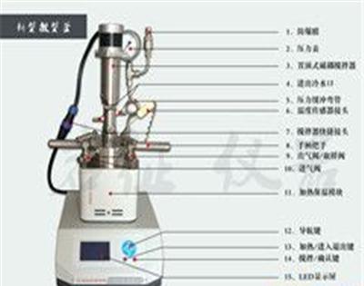 250ml具有自整定功能配置齐全微型磁耦反应釜