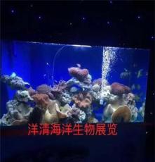 广州大型海鲜池鱼缸定做厂家 广州正佳海洋馆工程