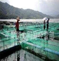 渔网 养殖网 网箱 海产品养殖网 渔业用具