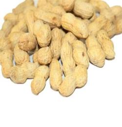 蒜泥花生 炒货散装花生 带壳花生 供应各类干杂休闲食品