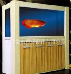 生态鱼缸 水族箱 小型鱼缸 龙鱼缸 水族器材
