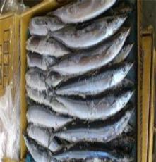 厂家直销冷冻石斑鱼 顶级 进口 21000元/吨