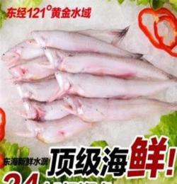 东海新鲜水潺 台州鲜活海鲜批发 龙头鱼 豆腐鱼 宝宝辅食肉嫩刺少