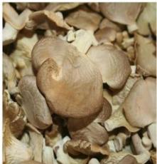 惠州营养秀珍菇干菇，恒展农业科技为你服务