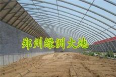 机制钢大棚，温室大棚骨架，钢管蔬菜大棚，郑州绿洲