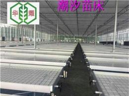 行业自动化苗床信赖华耀温室潮汐灌溉式苗床