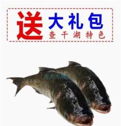 销售查干湖鱼网上订购北京代理团购